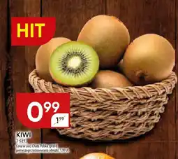 Chata Polska Kiwi oferta