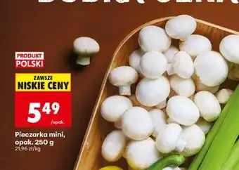 Biedronka Pieczarka mini opak . 250 g oferta