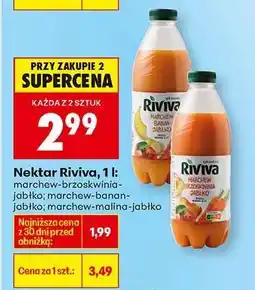 Biedronka Nektar Riviva, 1 l oferta