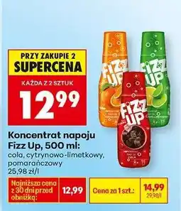Biedronka Koncentrat napoju Fizz Up, 500 ml oferta