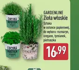 ALDI Gardenline Zioła włoskie oferta