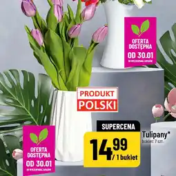 Polomarket Tulipany (bukiet 7 szt.) oferta
