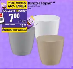 Polomarket Doniczka Begonia (śr. 18 cm) oferta