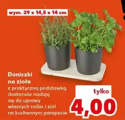 Kaufland Doniczki na zioła oferta