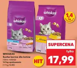 Kaufland WHISKAS Sucha karma dla kotów oferta