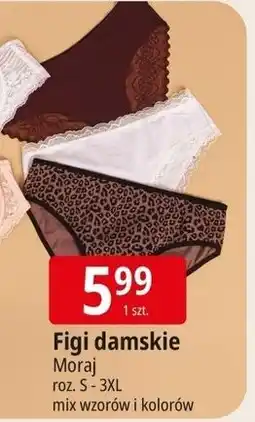 E.Leclerc Figi damskie s-3xl Moraj oferta