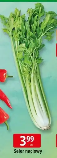 E.Leclerc Seler naciowy oferta