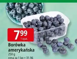 E.Leclerc Borówki amerykańskie oferta