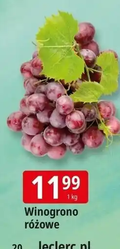E.Leclerc Winogrona różowe oferta