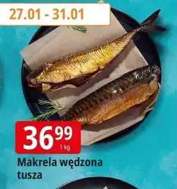 E.Leclerc Makrela wędzona tusza oferta