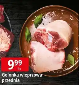 E.Leclerc Golonka przednia oferta