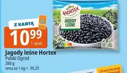 E.Leclerc Jagody leśne Hortex oferta