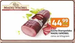 Gama Madej Wróbel Sucha Staropolska oferta