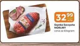 Gama Morliny Szynka Soczysta oferta