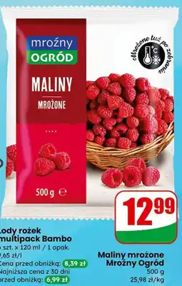 Dino Maliny mrożone Mroźny Ogród oferta