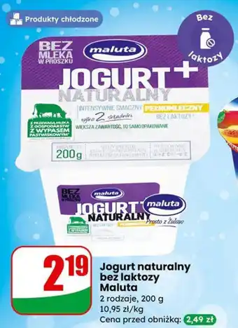 Dino Jogurt naturalny bez laktozy Maluta oferta