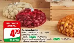 Dino Cebula dymka biała oferta