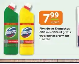 Gama Płyn do wc Domestos oferta