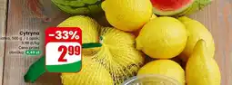 Dino Cytryna siatka oferta