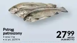 Makro Pstrąg patroszony oferta