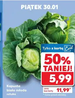 Kaufland Kapusta młoda oferta