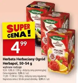 Twój Market Herbata Herbaciany Ogród Herbapol oferta