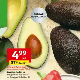 Auchan Awokado hass, kraj poch. w zależności od danej partii, kaliber 16 oferta