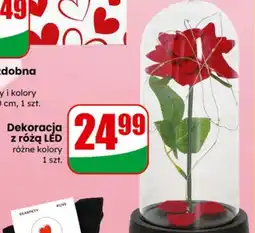 Dino Dekoracja z różą LED oferta