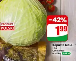 Dino Kapusta biała oferta