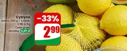 Dino Cytryna oferta