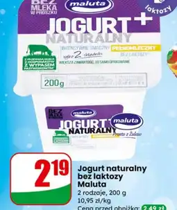 Dino Maluta Jogurt naturalny bez laktozy oferta