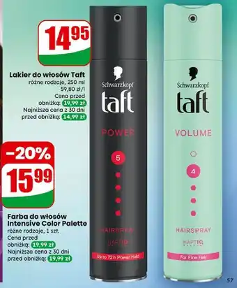 Dino Lakier do włosów Taft oferta