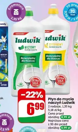Dino Płyn do mycia naczyń Ludwik oferta