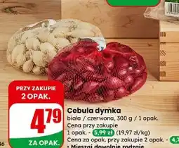 Dino Cebula dymka oferta