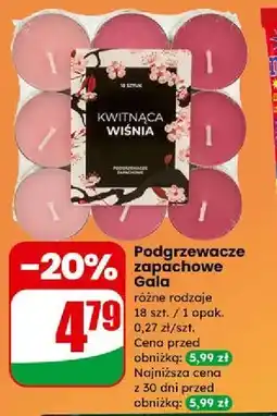 Dino Podgrzewacze zapachowe Gala oferta