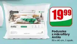 Dino Poduszka z mikrofibry Antila 50 x 60 cm oferta