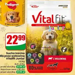 Dino Sucha karma dla psaz wołowiną Vitalfit Junior oferta