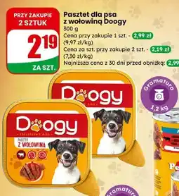 Dino Pasztet dla psa z wołowiną Doogy oferta