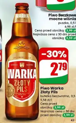 Dino Warka Złoty Pils oferta