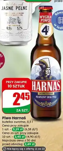 Dino Harnaś Jasne Pełne oferta