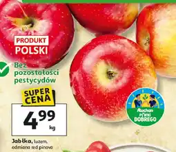 Auchan Jabłka red pinova Auchan Pewni Dobrego oferta
