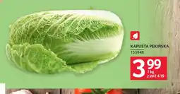 Selgros Kapusta pekińska oferta