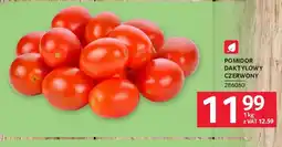 Selgros Pomidor daktylowy czerwony oferta