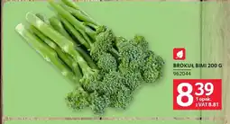 Selgros Brokuł Bimi oferta