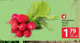 Selgros Rzodkiewka pęczek oferta