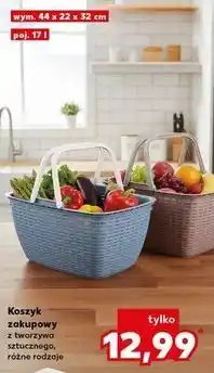 Kaufland Koszyk zakupowy z tworzywa sztucznego oferta