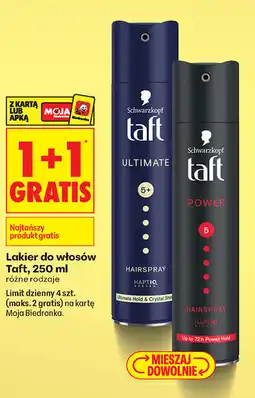 Biedronka Lakier do włosów Taft oferta