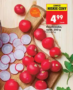 Biedronka Rzodkiewka, opak oferta