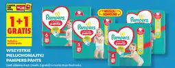 Biedronka Pampers Pants pieluchomajtki oferta