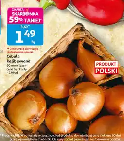 Auchan Cebula oferta